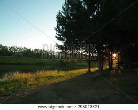Nature In Summer, The Rays Of The Setting Sun Illuminate The Shore Of The Forest Lake.