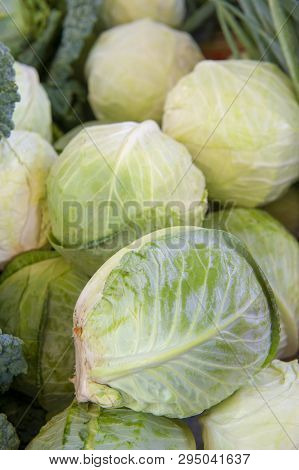 Cabbage Or Brassica Oleracea Capitata, Black Cabbage, Borecole, Broccoli