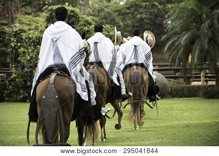 Demonstration Of The Peruvian Paso Horse Mounted By His Chalan. Peru
