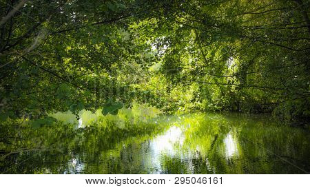 Green river Voiselle in marshes in Bourges, Berry province, Centre-Val de Loire, France