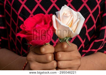 Red And White Rose Togetter Hold By Girl In Sunny Day