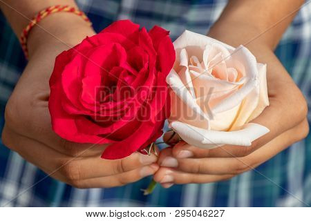 Red And White Rose Togetter Hold By Girl In Sunny Day