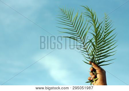 A Young Woman Holding Palm Leaves Against The Blue Sky. Palm Leaves Background. Palm Sunday Concept.