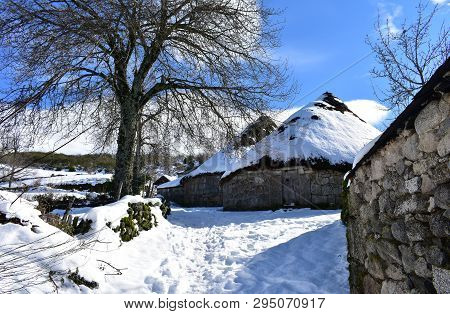 Piornedo, Ancares, Galicia, Spain. Ancient snowy palloza houses made with stone and straw. Village covered with snow, trees and blue sky.
