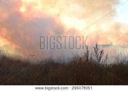 Ignition Of Dry Grass And Reeds Near Residential Buildings.
