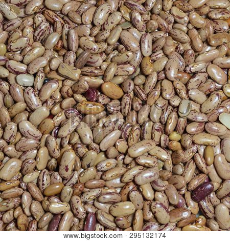 Background Grains Of Beans. Abstract Background Brown Bean.