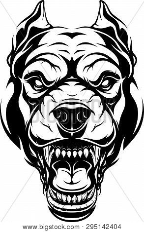 Vector Illustration, Head Of A Ferocious Pit Bull Growls, Black Contour On White Background.