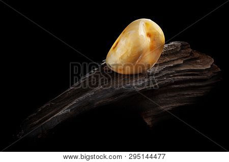 Natural Amber. A Piece Of Yellow Opaque Natural Amber On Large Piece Of Dark Stoned Wood.