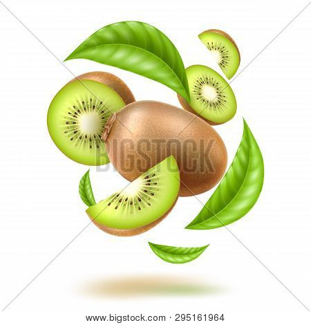 Vector Realistic Kiwi Swirl Motion With Leaves