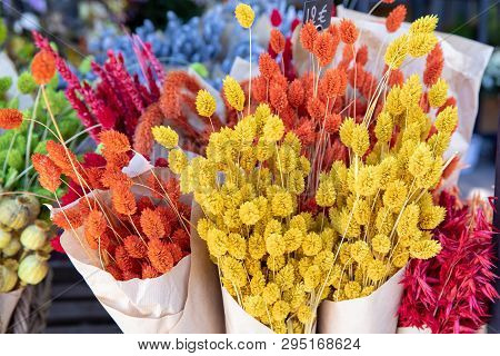 Natural Plant Dried Flowers Home Decoration Eternal Flower Bouquets With A Floral Grass With Multico
