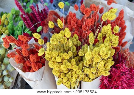 Natural Plant Dried Flowers Home Decoration Eternal Flower Bouquets With A Floral Grass With Multico