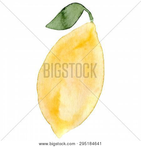Watercolor Lemon Fruit. Hand Drawn Summer Illustration. Design For Fabric, Packaging, Textile, Cover
