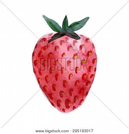 Watercolor Strawberry Fruit. Hand Drawn Summer Illustration. Design For Fabric, Packaging, Textile, 