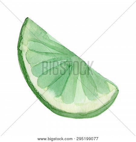 Watercolor Lime Fruit. Hand Drawn Summer Illustration. Design For Fabric, Packaging, Textile, Cover,