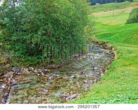 The Wiss Thur Stream In The Stein Settlement And The Obertoggenburg Region - Canton Of St. Gallen, S