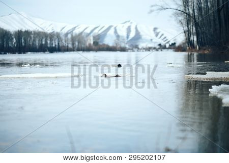 Spring In East Kazakhstan Landscape Snowy Mountines And River With Ice