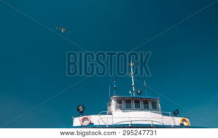 Seagull Fellow Traveler  Fly Near The Ferry Boat