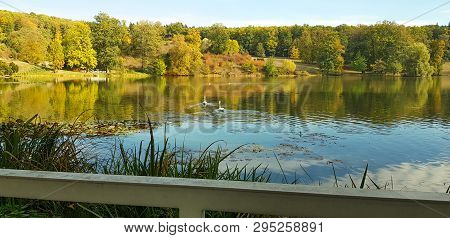 Lake In Autumn Garden - Beautiful View
