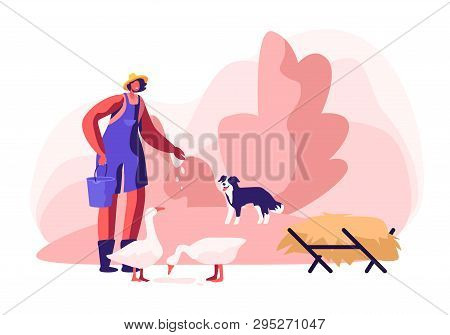 Young Woman In Working Robe Feeding Geese, Dog Stand Nearby. Female Farmer, Villager Character At Wo