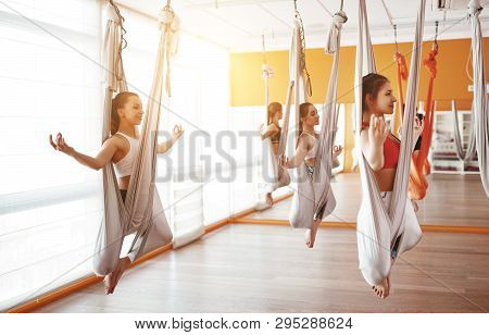 A Group Of People Engaged In A Class Of Yoga Aero In Hammocks Antigravity