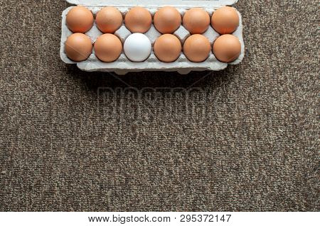 A Dozen Eggs And One Oddball In A Carton.