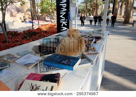Eilat, Israel - March 03, 2019: Red Cat Lying On The Counter Bookcrossing On The Promenade In Eilat