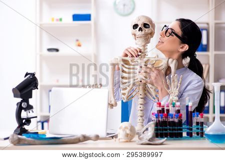 Young female archaeologist working in the lab 