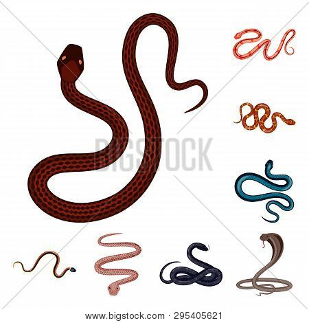 Vector Illustration Of Poison And Evil Sign. Set Of Poison And Bite Vector Icon For Stock.