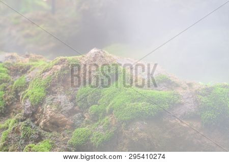 Close Up Macro Shot Of Beautiful Healthy Greenmoss Growing Up On Rock On A Foggy Day. Green Nature W