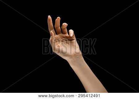 Touching Of Night. Female Hand Demonstrating A Gesture Of Getting Touch Isolated On Black Studio Bac