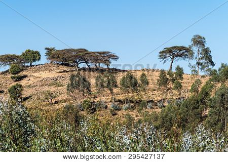Landscape View Between Gondar And The Simien Mountains, Ethiopia, Africa