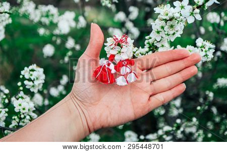 Bulgarian Traditional Spring Decor Martenitsa, Hold In Hand, Blossom Tree Background. Baba Marta Hol