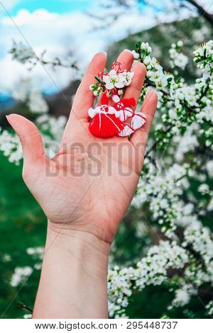 Bulgarian Traditional Spring Decor Martenitsa, Hold In Hand, Blossom Tree Background. Baba Marta Hol