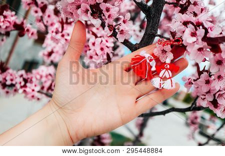 Bulgarian Traditional Spring Decor Martenitsa, Hold In Hand, Cherry Blossom Tree Background. Baba Ma