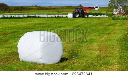 Agricultural Landscape With Straw Packages On Field. Cereal Bale Of Hay Wrapped In Plastic White Foi