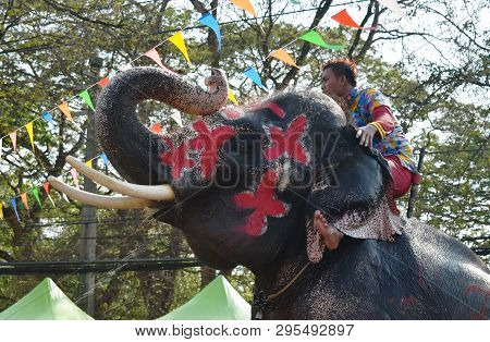 Ayutthaya Thailand April 14, 2019 : Elephant Splashing Water Between Tourist In Songkarn Festival