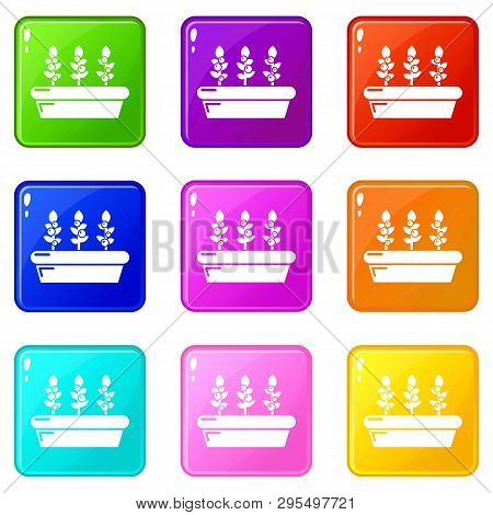 Outdoor Potted Plants Icons Set 9 Color Collection Isolated On White For Any Design