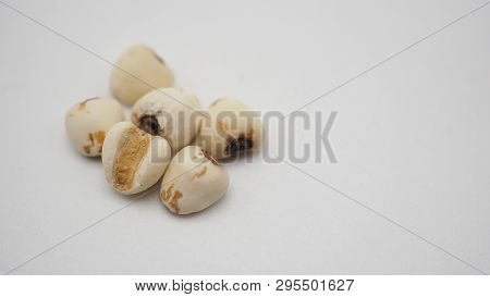 Job's Tears, Also Known As Adlay And Coix On White Background. Popular In Asian Cultures As A Food S