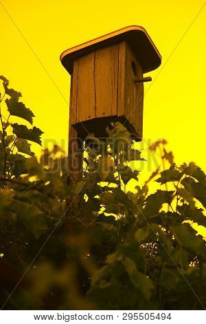 Wooden Birdhouse On The Background Of Yellow Sky
