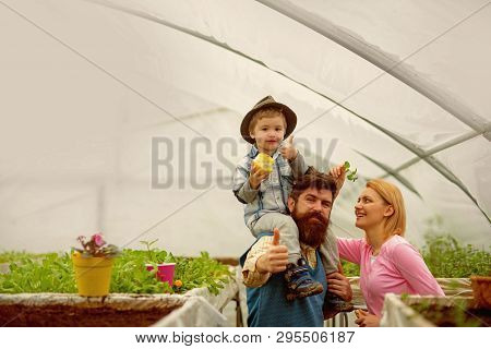 Dieting. Dietingand Healthy Food. Dieting With Organig Eating. Dieting Concept. Family With Potted P