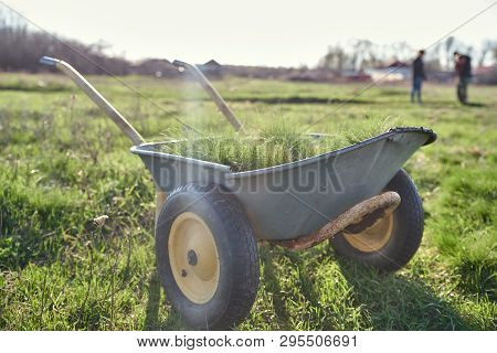 Bright Spring Frame Against A Green Meadow, A Wheelbarrow Filled With Freshly Dug Turf.