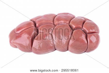 Beef Kidney Raw Isolated On White Background. Close Up. Cow Kidney Isolated.
