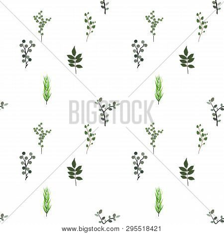 Seamless Pattern. Tropical Elements: Agonis, Eucalyptus, Annona, Balata, Zamiokulkas, Cissus. Colorf
