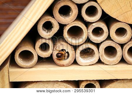 An Insect Hotel For Bees Wasps And Other Insects