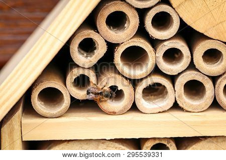 An Insect Hotel For Bees Wasps And Other Insects