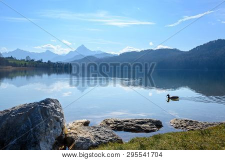 Mountain Lake Weissensee In Morning Light In Front Of The The Bavarian Alps Near Fuessen In The Allg