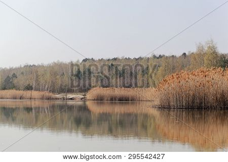 View Of The Ludwigsee In Saxony Anhalt/germany.