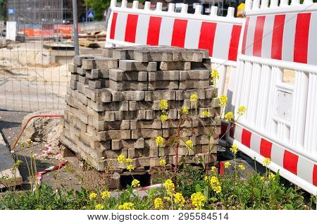 Oilseed Rape, Dandelions, Wild Rose And Hawkweed Growing At Construction Site Beside Plastic Barrier