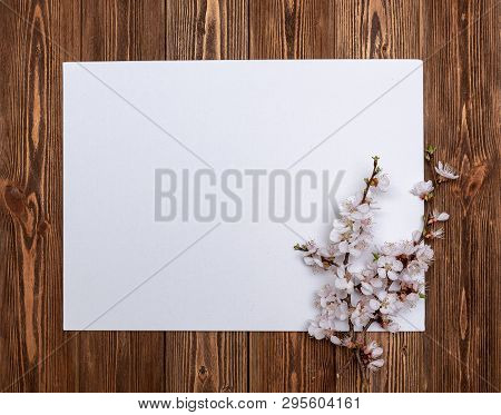 Apricot Branches With Flowers On A Wooden Background