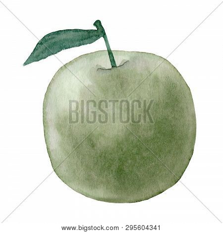 Watercolor Apple Fruit. Hand Drawn Summer Illustration. Design For Fabric, Packaging, Textile, Cover